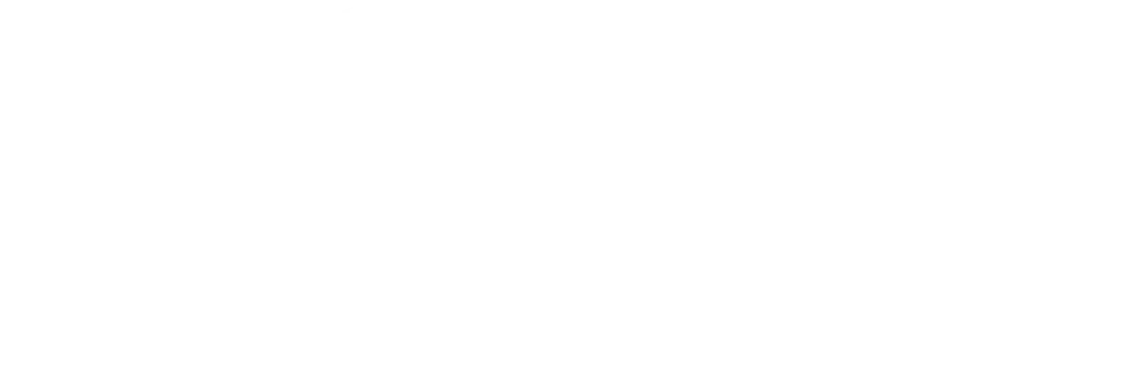 PONY